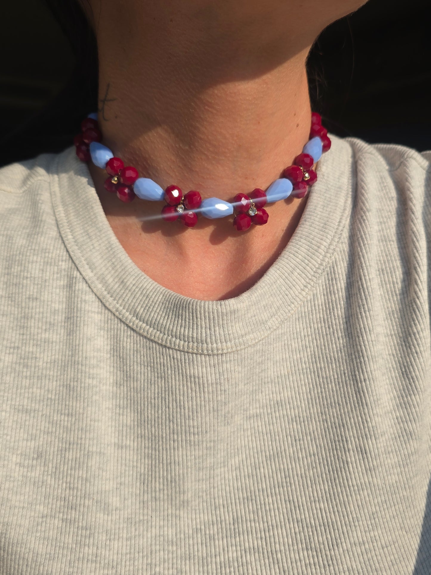 Garden Choker (Rojo-Azul)
